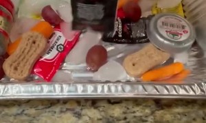 Candy Bowl of Tricks Pranks Neighbors