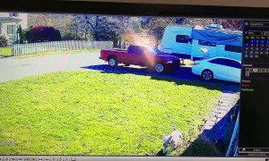 Aggressive Dog Attacks Pitbull with no Retaliation