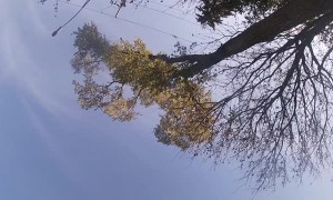 Altercation with Jeep Leaves Motorcyclist on the Ground