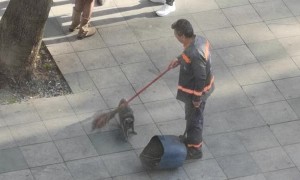 Street Sweeper Plays With Stray Kitty