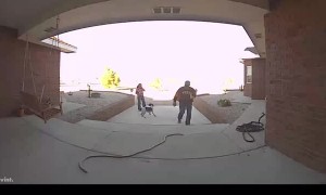 Excited German Shorthair Runs into the Stairs