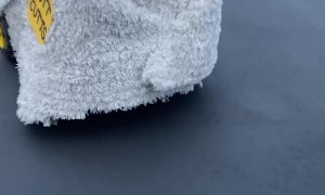 Best Friends Dress as Dumb and Dumber for Halloween