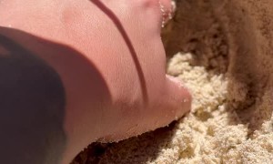 Crab Narrowly Escapes Home Invader