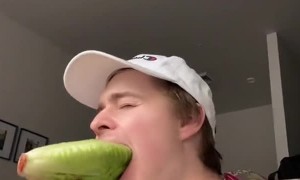 How to Trick a Dog to Eat Lettuce