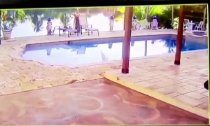 Dog Causes Havoc After Racing Right Into Hammock