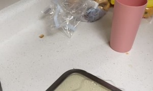 Wire Spring Trick Wows Friend