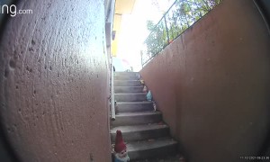 Texting and Walking Misjudges Last Step