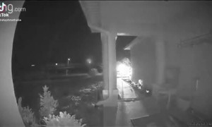 Delivery Guy Frightened by Frog