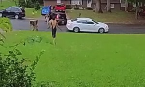 Doorbell Camera Catches Fender Bender