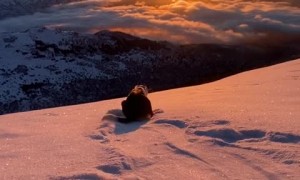 Winter-loving pup slides down snowy mountain in Alaska
