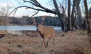 Duck Hunt Calls Draw Buck Instead