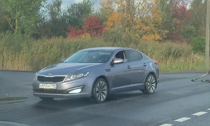 Moose Slips Between Cars
