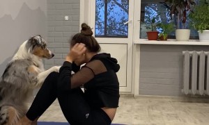 Pup Works Out with Its Person