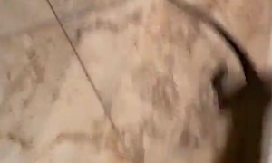 Monkey Bounds Around Bathtub