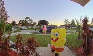 Spongebob Costume Makes Ringing Doorbell Difficult