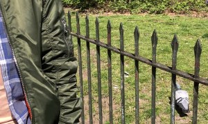 Man Struggles to Get Two Pigeons off of Him at the Park