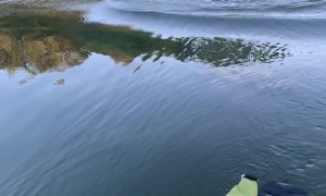 Fat Blastard is a Sign it's Time to Go Home