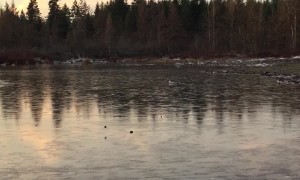 Skipping Stones Over Frozen Lake Sound Like Laser Blasters