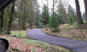 Excited Dog Takes Off After Deer