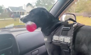 Pup is Pumped for Grandma's House