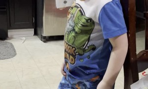 Toddler Asks For Tacos