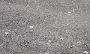 Exploring Rapper Young Dolph's Crime Scene