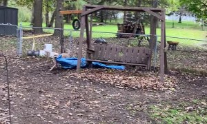 Dog Plays Keep Away With Her Human's Tarp