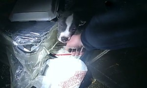 Police rescue puppy from trash pile