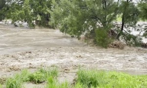 Backyard Becomes Raging Torrent During Flood Event