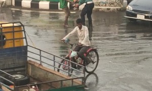 Police Officer Rescues Puppy From Busy Road