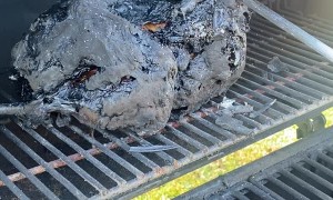 Thanksgiving Turkey Cremation