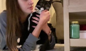 Having A Conversation With Kitty About Bedtime