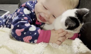 Baby Loves Her New Kitten
