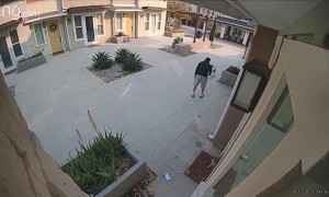 Guy Jumps on Dog Attacking His Cat to Save it