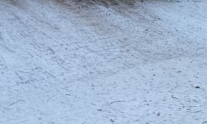 Sledding Send Has Rough End