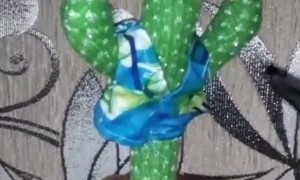 Dog Competes in a Dance off With Cactus Toy
