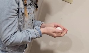 Egg Shell Blown Off in One Piece