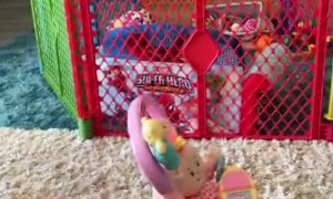 Baby is Shocked When Dad Kicks Over Doll in Stroller