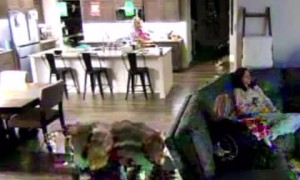 Toddler Throwing Ball For Dogs Clocks Mom on the Head