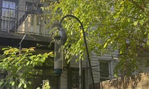 Squirrel Proof Bird Feeder Sends Squirrels Flying
