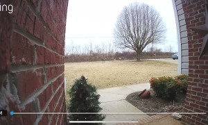 Woman Saves Flowers on Slippery Walkway