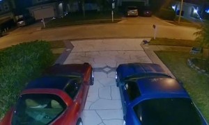 Brother Testing Toddler Bike Breaks and Flies Over Handlebars