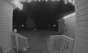 Man Misses Last Step on Ladder