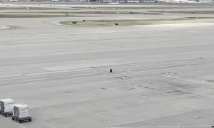 Runaway Luggage Rolls Across Airport Ramp