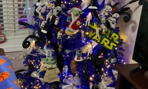 Home Transformed Into Christmas Wonderland