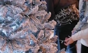 Elderly Couple has Ingenious Way of Lighting Christmas Tree