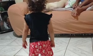 Quarreling Canines Barrel Into Child