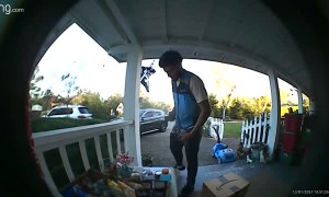 Snack Selection Delights Delivery Driver