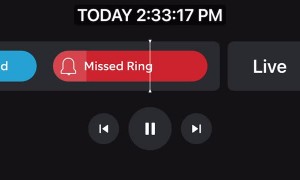 Small Lizard Bites Boy's Finger and Won't Let Go