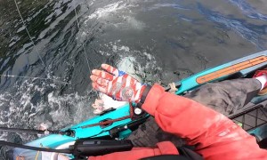 Massive Halibut Caught by Kayak Angler in Alaska